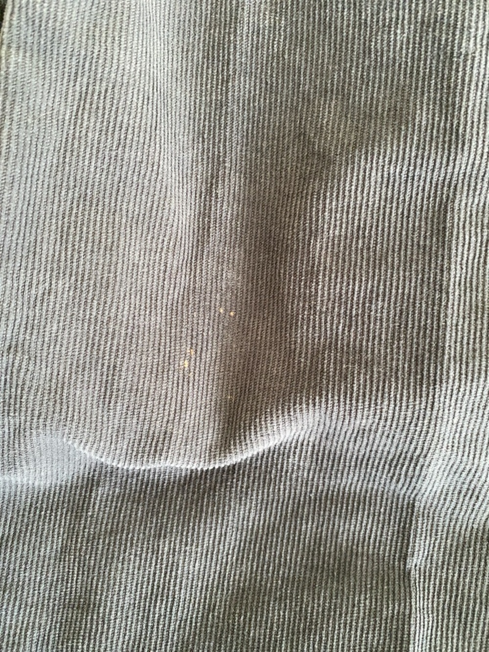 American Eagle Outfitters Dark Gray Boot Cut Corduroy Pants - Picture 11 of 11
